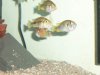 100_2065.JPG
