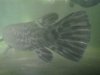 DSC03618.JPG