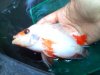Fish 2 008.jpg
