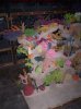 H20CustomAquatics-MikeMiranda005.jpg
