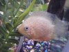 DSCF4697.JPG