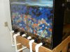 DSC07514.JPG