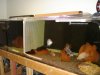 DSC07516.JPG