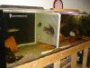 DSC07519.JPG