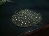 DSC04248.JPG