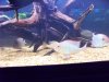 100_0504.JPG
