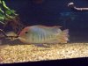 100_0519.JPG