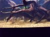 100_0505.JPG