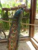 DSC01997.JPG