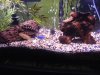 DSCF4782.JPG