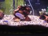 DSCF4786.JPG