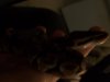 100_4046.jpg