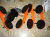 DSC01784.JPG