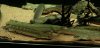 bichir_bichir1_577.JPG