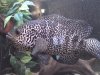 DSC00075.jpg