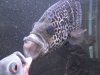 DSC00069.jpg