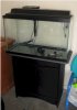 29gal.jpg
