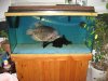 100gal.jpg
