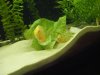 DSCF4974.JPG