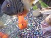 DSCF4691.JPG