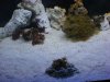 DSC01459.JPG