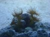 DSC01444.JPG