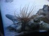 DSC01445.JPG