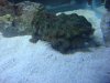 DSC01455.JPG