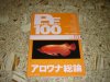 DSC01840.JPG