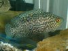 DSC00406.JPG