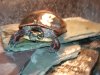 DSC00051.JPG