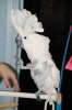 Dsc_6046.jpg