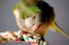 Dsc_8030.jpg
