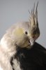 Dsc_8054.jpg