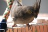 DSC_8039.JPG
