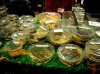 Dscn0075.jpg