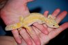 Dsc_8832.jpg