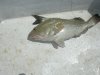 florida 008.jpg
