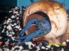 100_1385.JPG