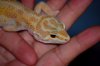 Dsc_8833.jpg