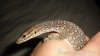 Picture 016.jpg
