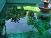 DSC03895.JPG