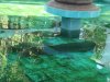 DSC03897.JPG