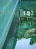 DSC03898.JPG