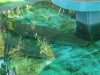 DSC03906.JPG