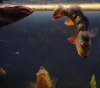 DSC_5913.JPG
