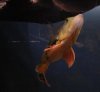 DSC_5917.JPG