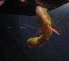 DSC_5918.JPG