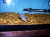 100_16241.jpg