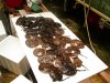 DSCN6951.JPG